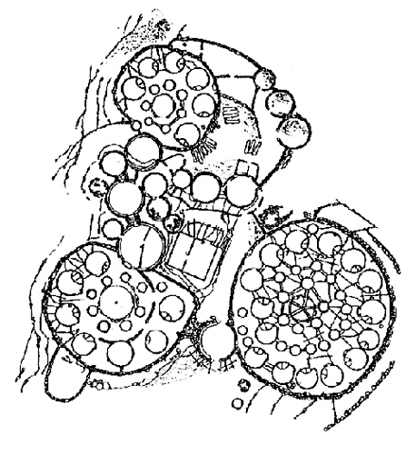 447x500 Landscape, Fractal Montessori Fractals Fractals
