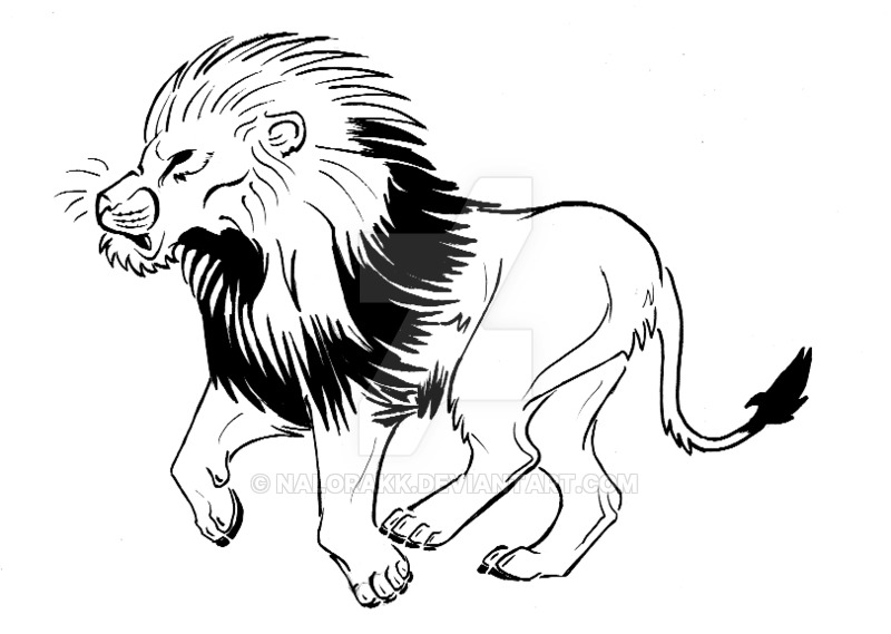 800x569 African Lion Tattoo By Nalorakk