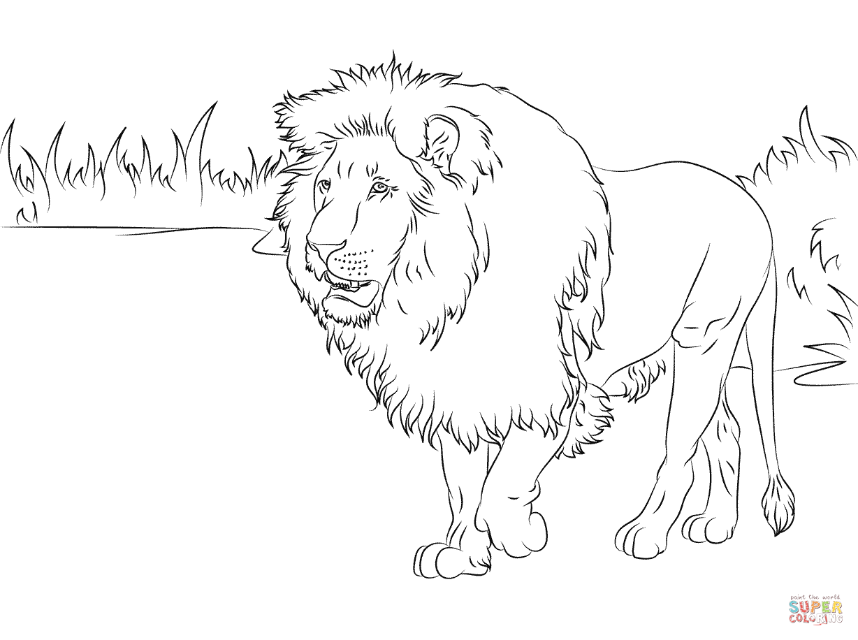 1228x916 Lions Coloring Pages Free Coloring Pages
