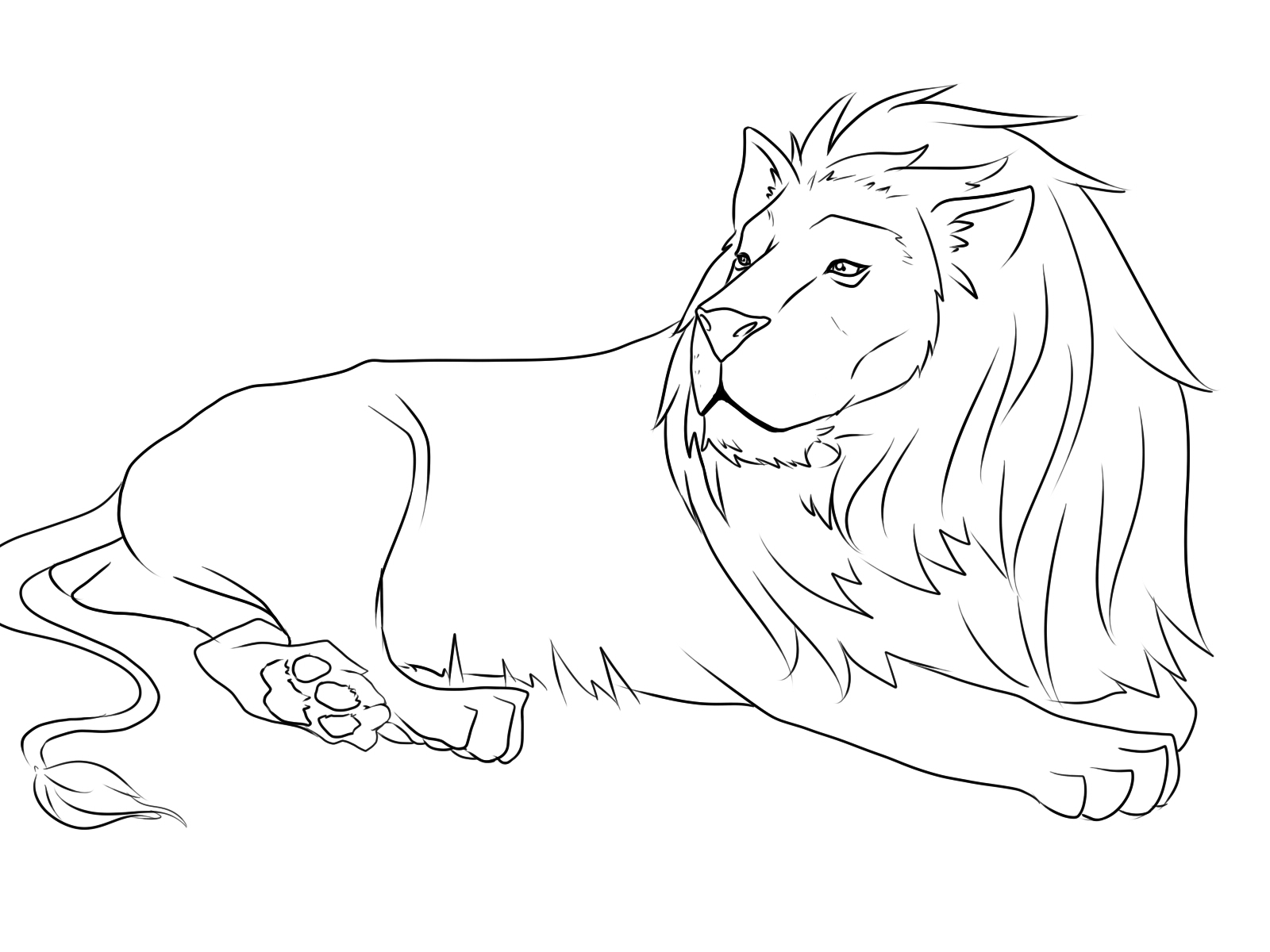 1600x1200 African Lion Coloring Page Lion Color Page Gallery Photos