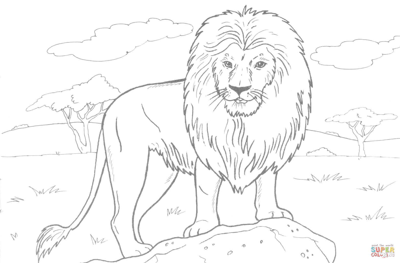 1635x1074 African Lion Drawings African Lion Drawing Easy
