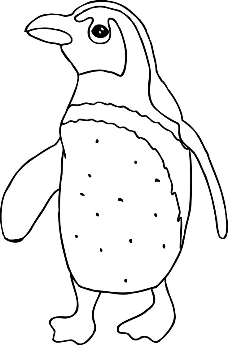 736x1115 Funny Animal Penguin Coloring Pages
