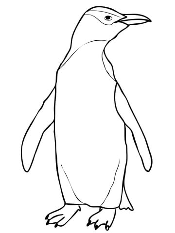 360x480 Mobile Little Blue Penguin Coloring Pages Coloring Drawing Little
