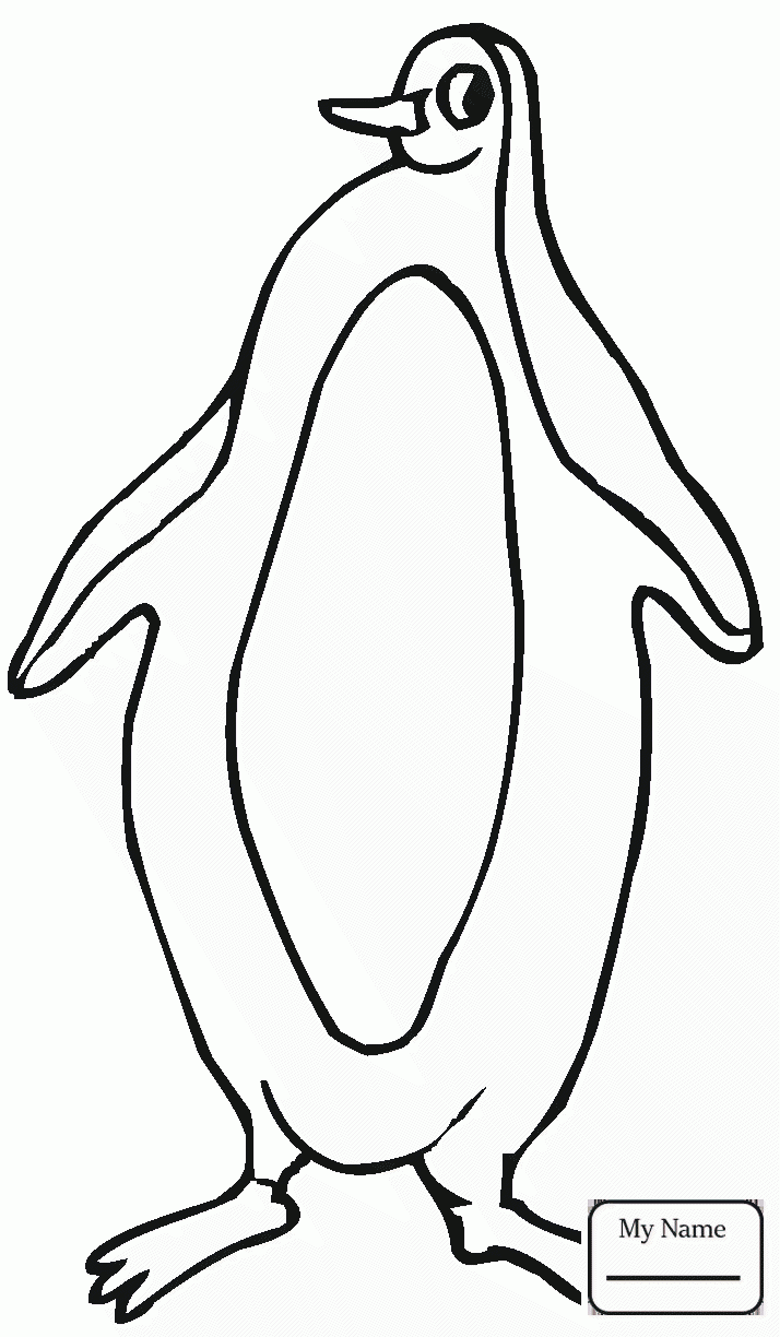 714x1224 Birds African Penguin Coloring Pages