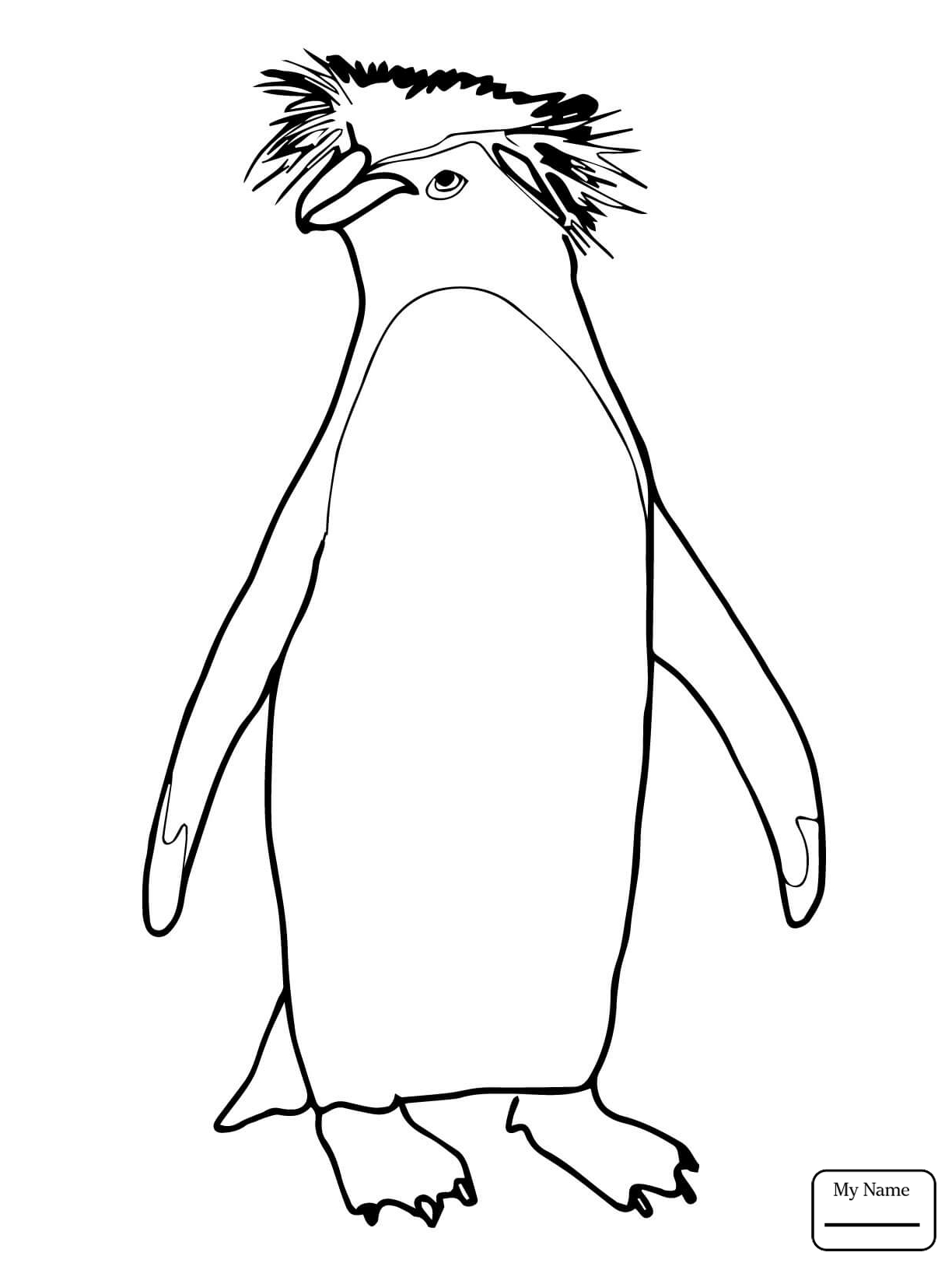 1224x1632 Coloring Pages African Penguin Birds Penguins