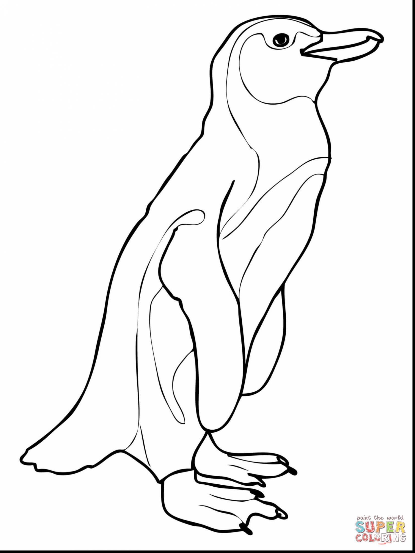 1650x2200 Extraordinary African Penguin Coloring Page With Africa Coloring