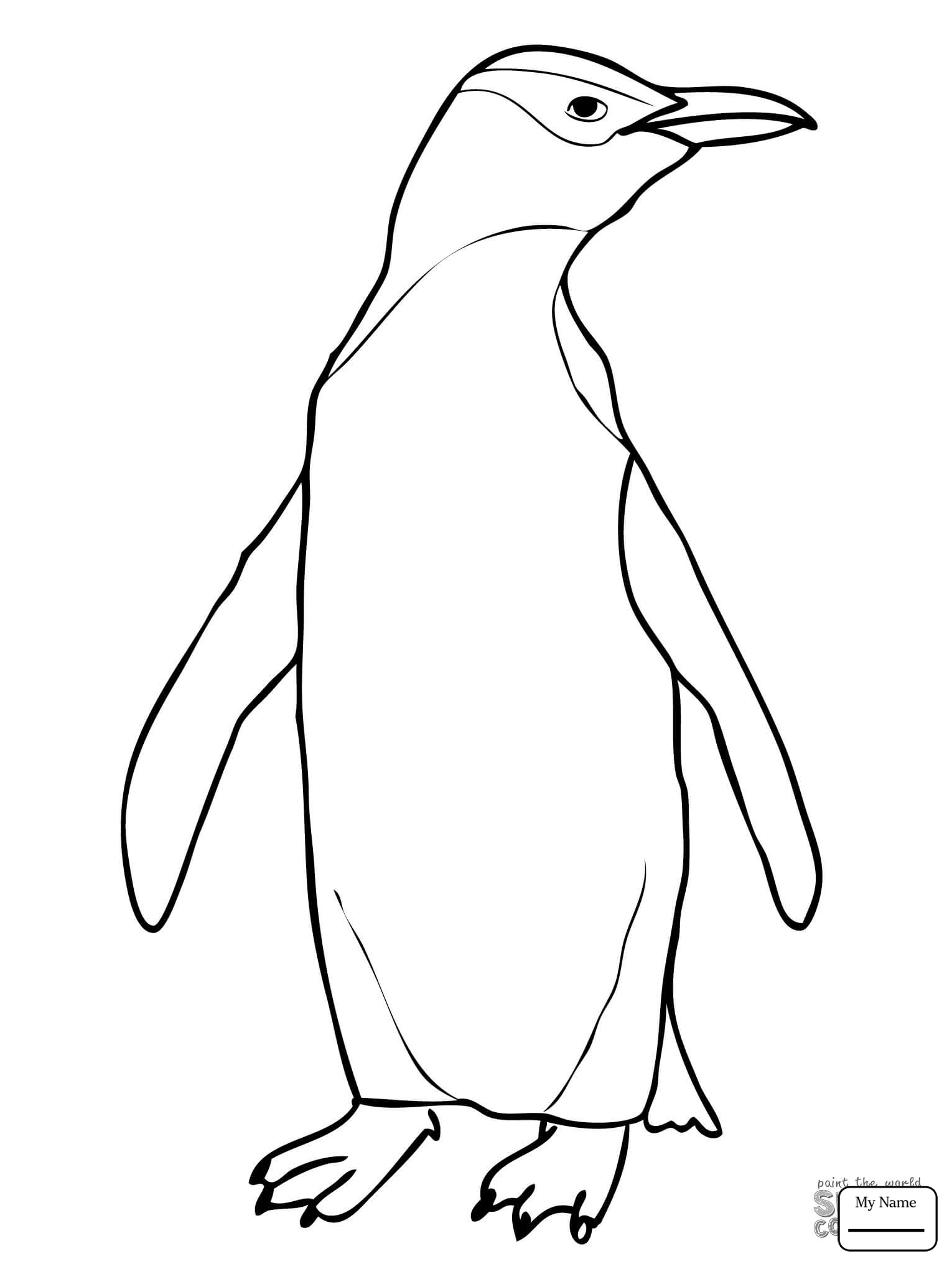 1530x2040 Penguins