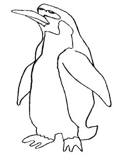 236x314 African Penguin Penguin Kids Net And Penguins