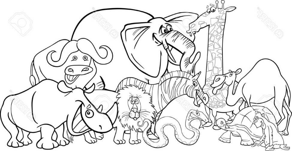 974x503 Coloring Pages Drawing Safari Animals Drawing In Colour Safari