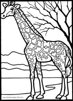236x326 Safari Coloring Pages How To Draw A Rainforest Step 6 Jungle