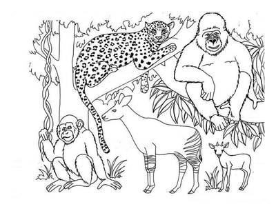 400x322 African Safari Coloring Pages Page Image Clipart Images