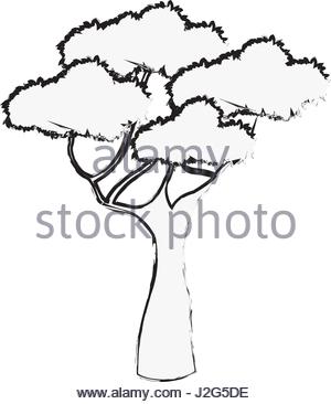 300x366 Illustration Of An African Tree Stock Vector Art Amp Illustration
