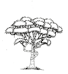 235x254 Product Listing Africa