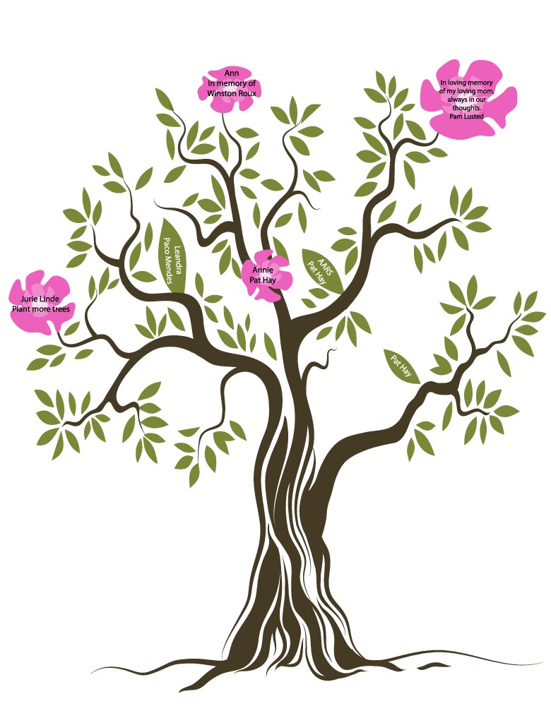 780x1000 Endangered Wildlife Trust