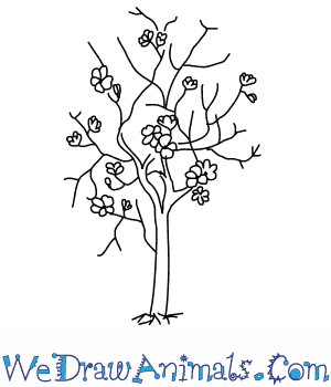 300x350 How To Draw A Magnolia Tree