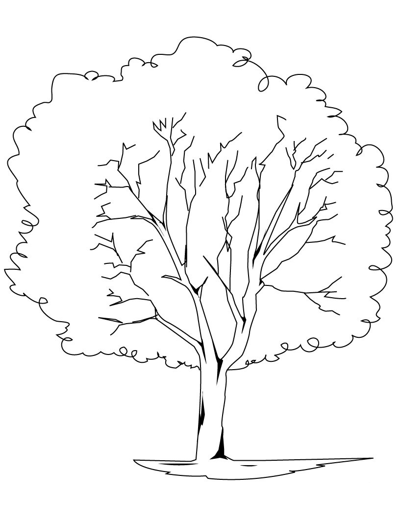 820x1060 Trees Coloring Pages