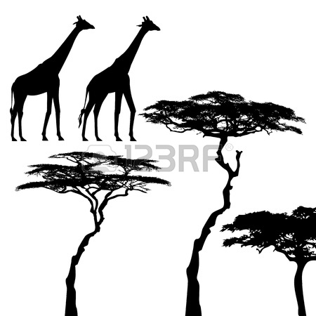 450x450 Vector Silhouette Of Acacia Tree. African Tree Set. Royalty Free