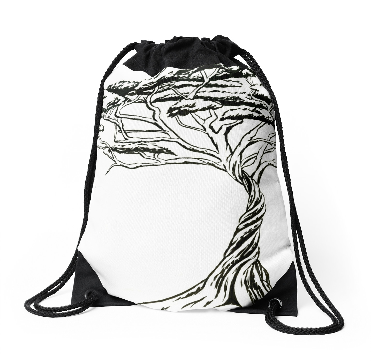 1435x1404 Whistling Thorn , Zen Bonsai African Tree Black And White