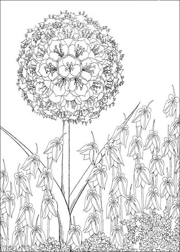 607x850 African Village Coloring Pages