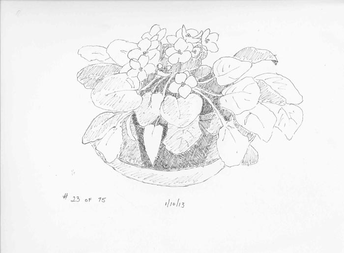 700x515 Michelle's 75 Day Sketch Challenge [Archive]