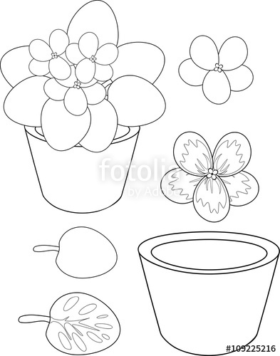 393x500 Coloring Page With African Violet Flower In Pot Stock Image