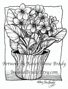 236x310 Drawings Of African Violets