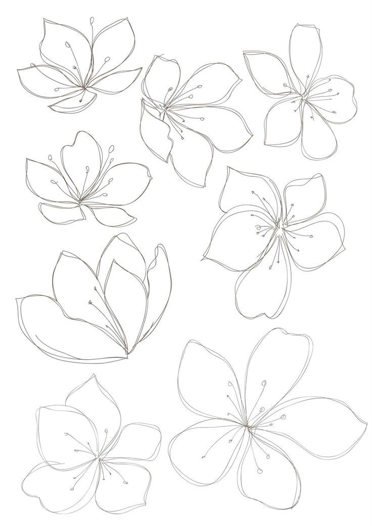 736x1041 Bobbie Print Floral Drawings Ornament Floral
