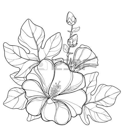 450x450 Bouquet With Outline Saintpaulia Or African Violet Flower In Round