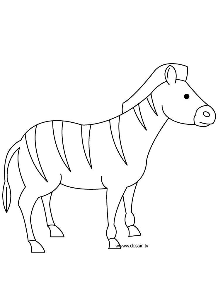 744x1052 Coloring Zebra
