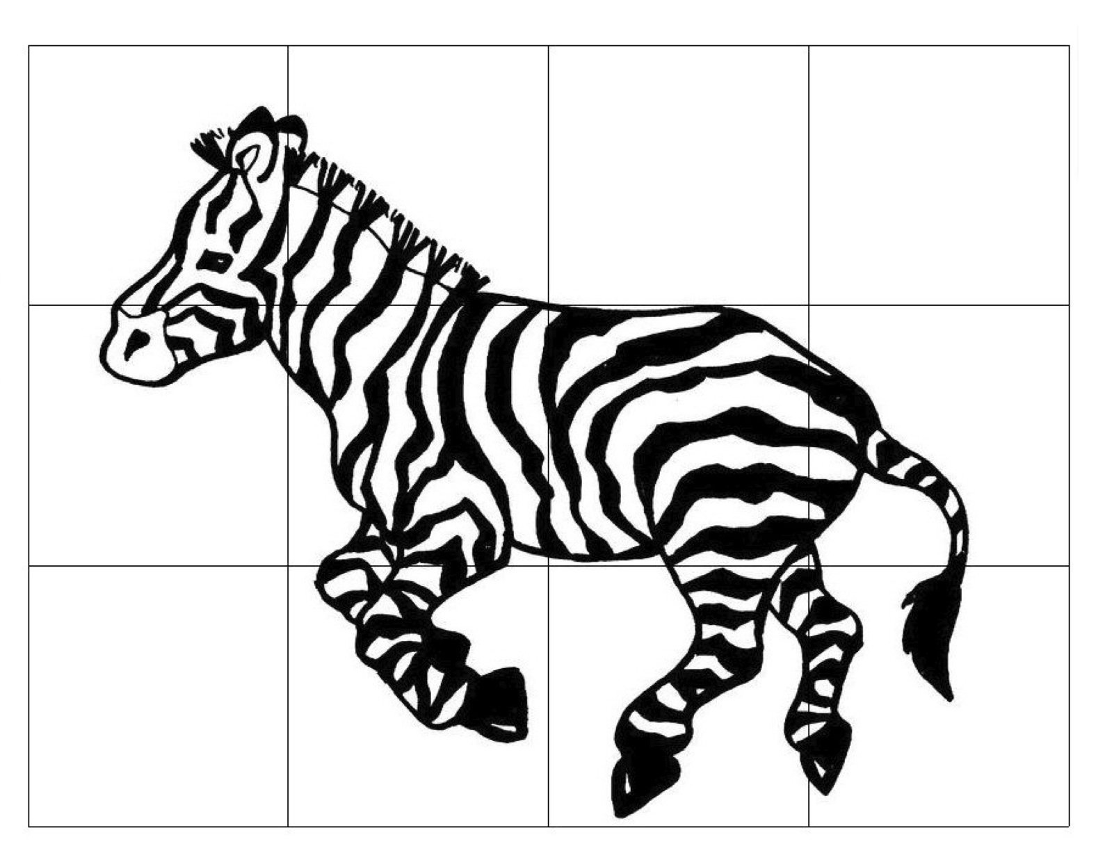 1589x1237 Zebra Drawing Art