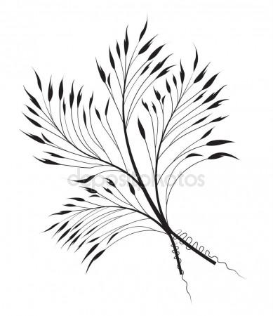 389x450 Cactus Blue Agave. Vintage Vector Engraving Illustration For Label