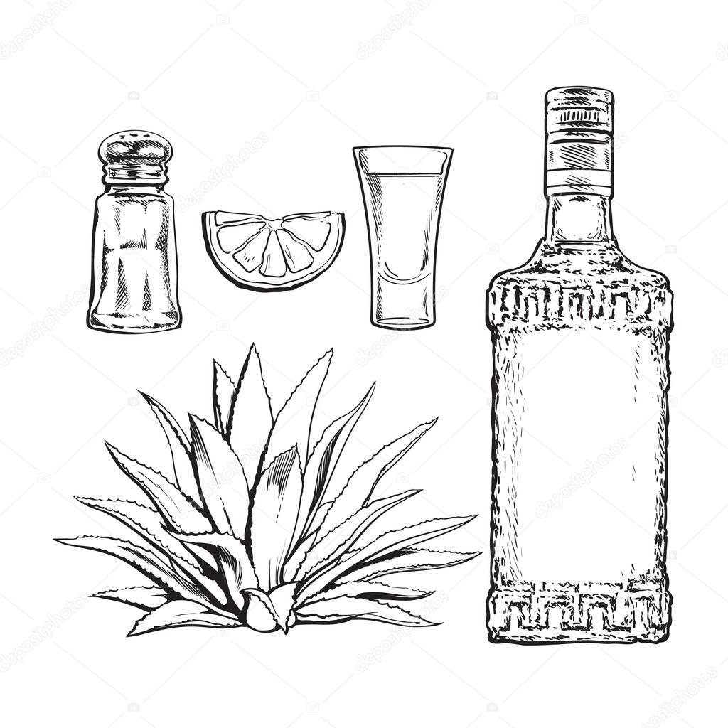1024x1024 Set Of Tequila Bottle, Shot, Salt Mill, Agave And Lime Stock