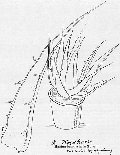 400x516 Basic Literatur