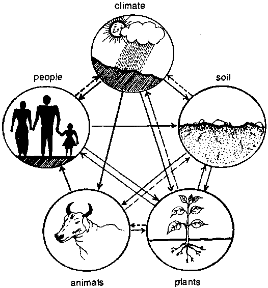 526x566 Environmentally Sound Technologies For Women In Agriculture