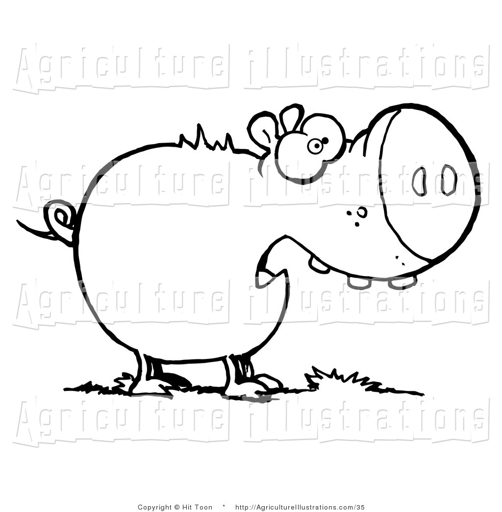 1024x1044 Agriculture Clipart Of A Coloring Page Outline Of A Plump Pig