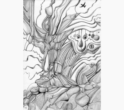 420x372 The Zambezi Project