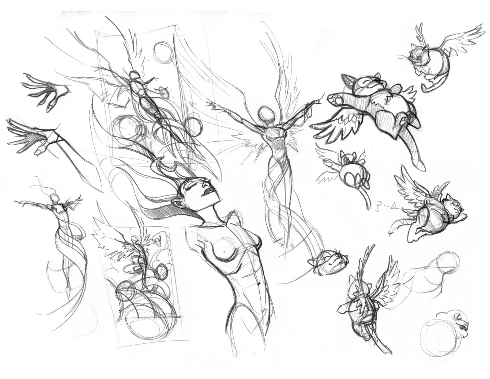 1600x1236 The Bad Flip Blog Get Ready