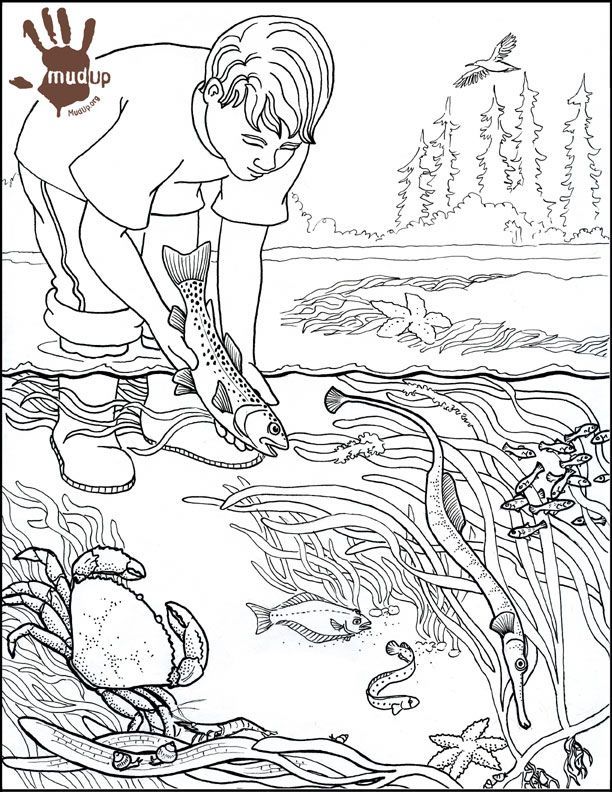 612x792 Water Pollution Coloring Sheets Coloring Page For Kids