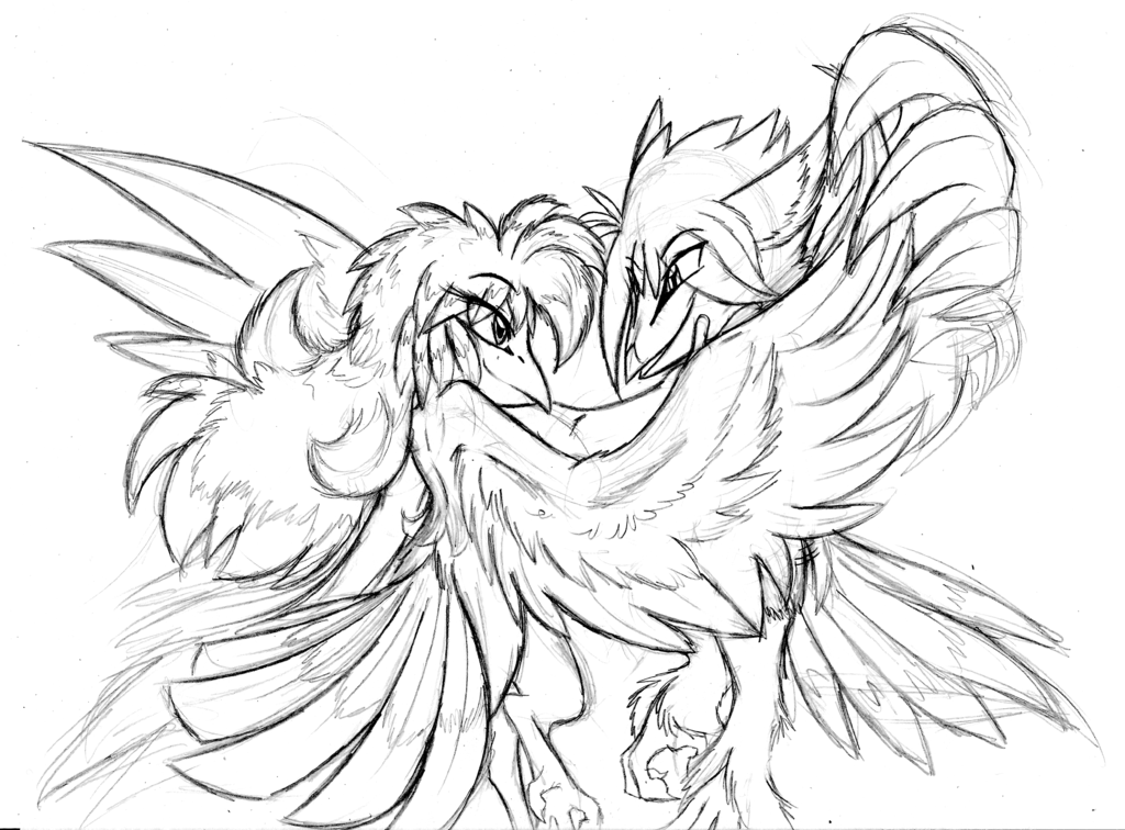 1024x756 Airborne Rhythm By Fayelenefyre