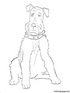 224x300 Airedale Terrier Page Adult Coloring Pages Terrier