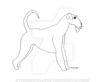 400x314 Airedale Explore Airedale