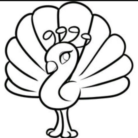 480x480 First Art Pecans On Aj Amp Drawings Of Pecans Aj Amino Amino