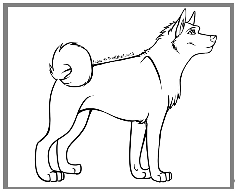 The best free Akita drawing images. Download from 47 free drawings of ...