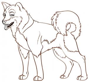 302x279 How To Draw An Akita, Step By Step, Pets, Animals, Free Online