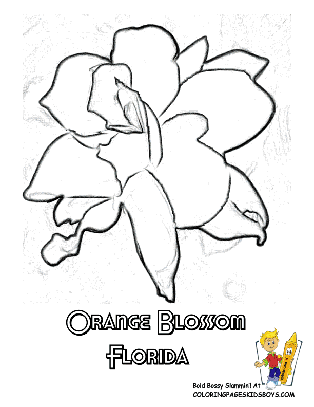 612x792 Flower Coloring Sheets States Alabama Georgia Flower Free