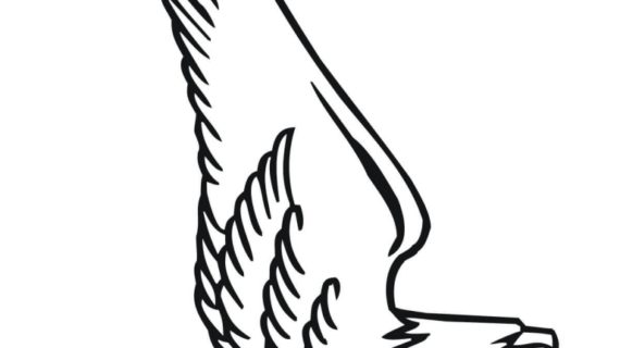 570x320 How To Draw A Bald Eagle Bald Eagle From Alaska Coloring Page Free