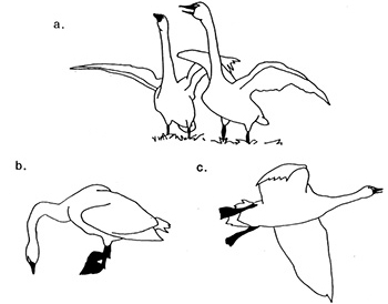 350x274 Virtual Bowery