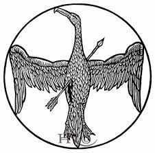 226x223 Tattoos By Ren Sakurai Yelp Tattoos Of Albatross