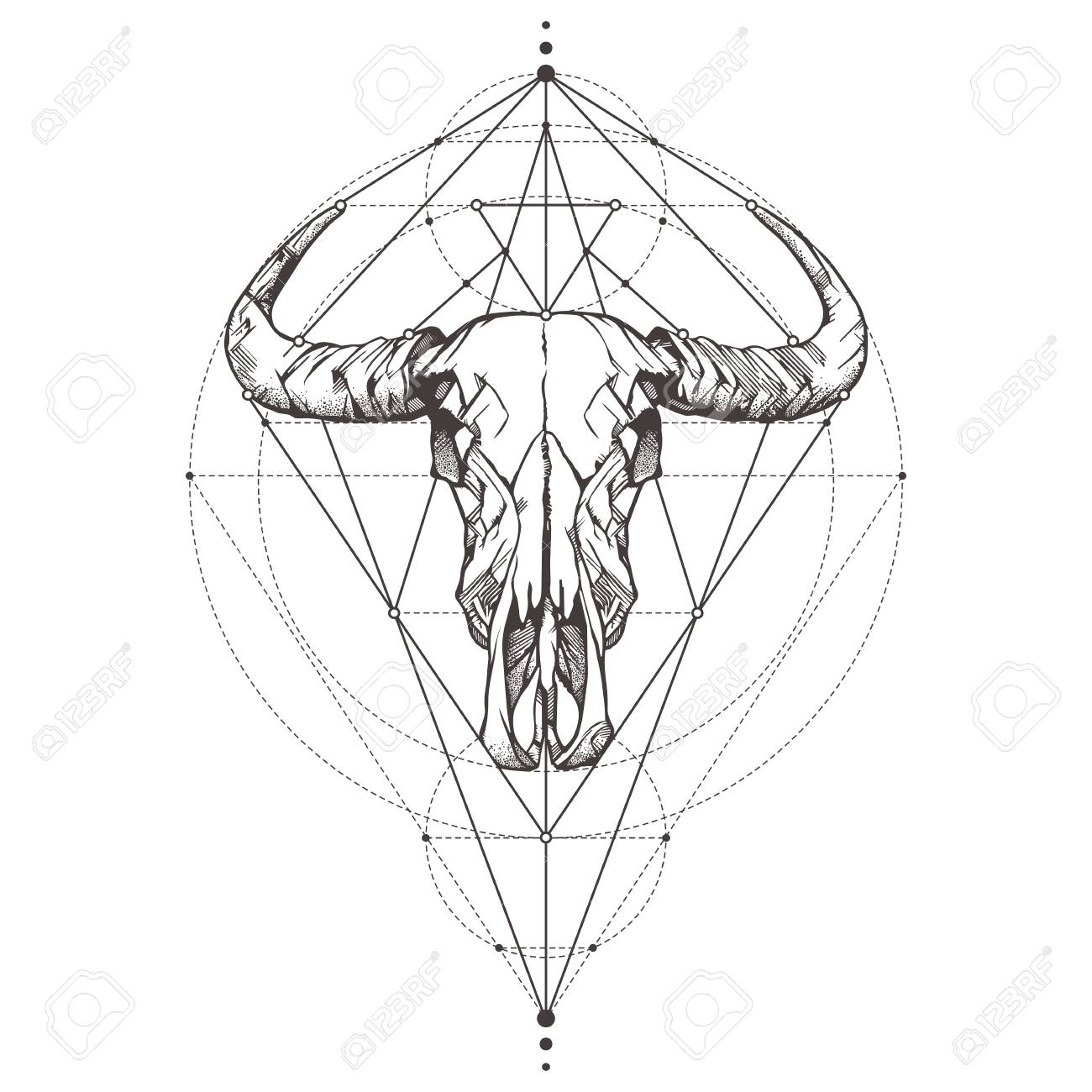 1300x1300 Bull Skull. Tattoo Sketch. Mystical Symbols And Animal. Alchemy