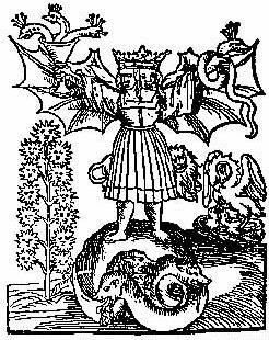 246x310 Queen Of Wands Axiom Of Maria